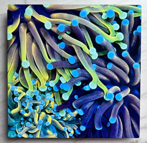 Torch Garden Detail Metal Art Print