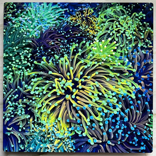 Torch Garden Metal Art Print