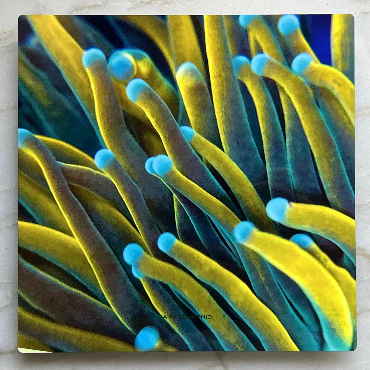 Master Torch Detail Metal Art Print